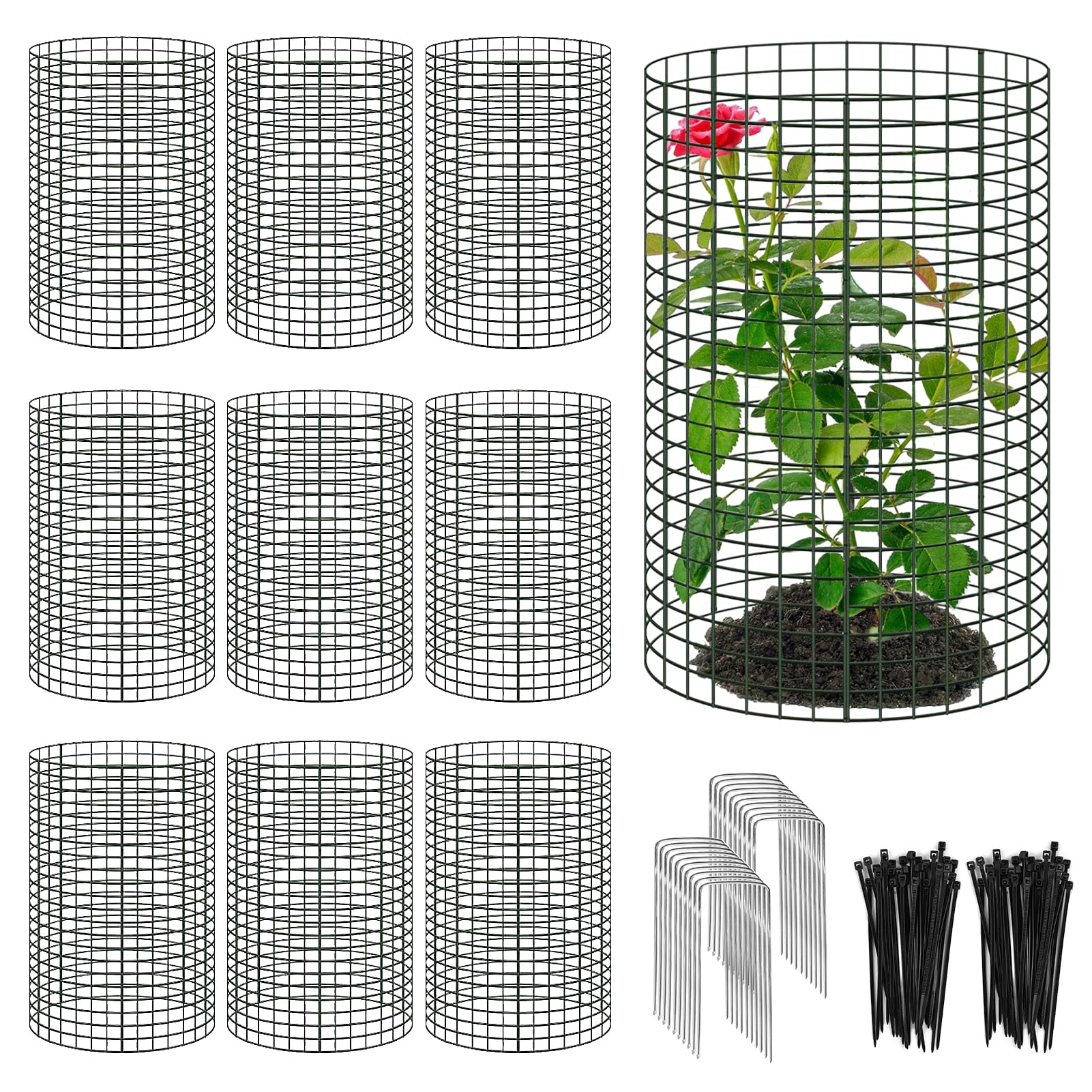 YEXEXINM plant protector cylinder shielding seedlings from animals while sunlight passes through
