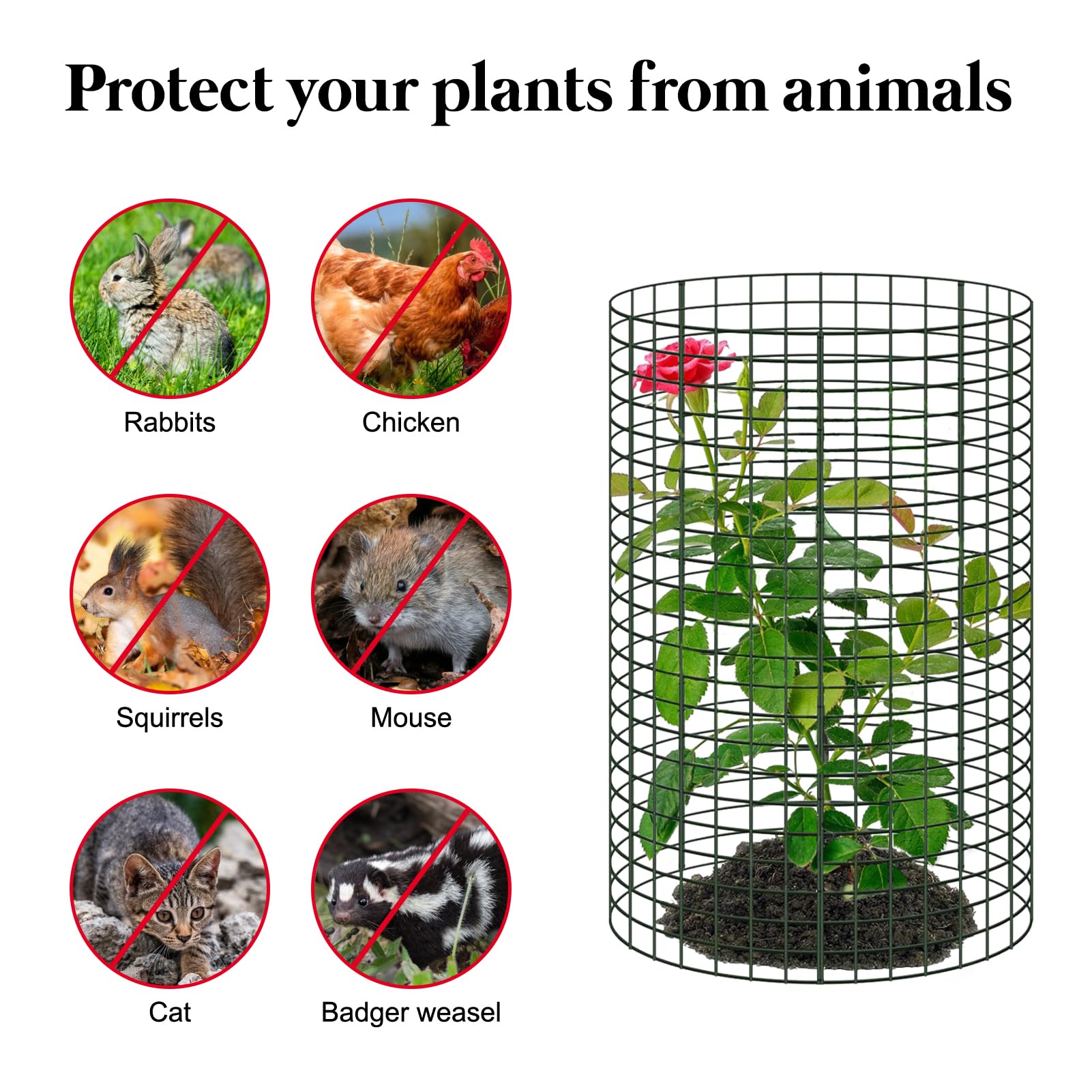 YEXEXINM vinyl-coated wire cage detail shows durable finish