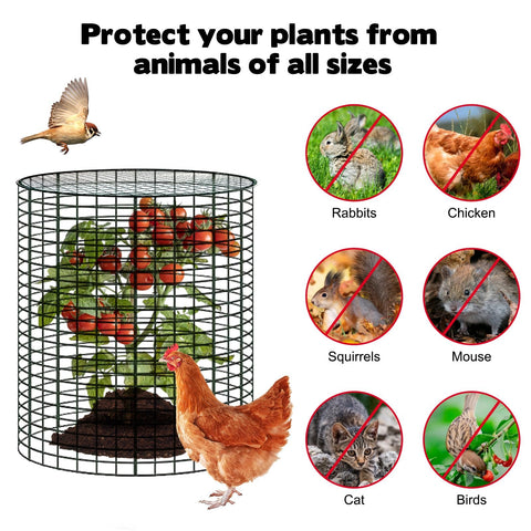 YEXEXINM vinyl-coated cage resists weather and rust.