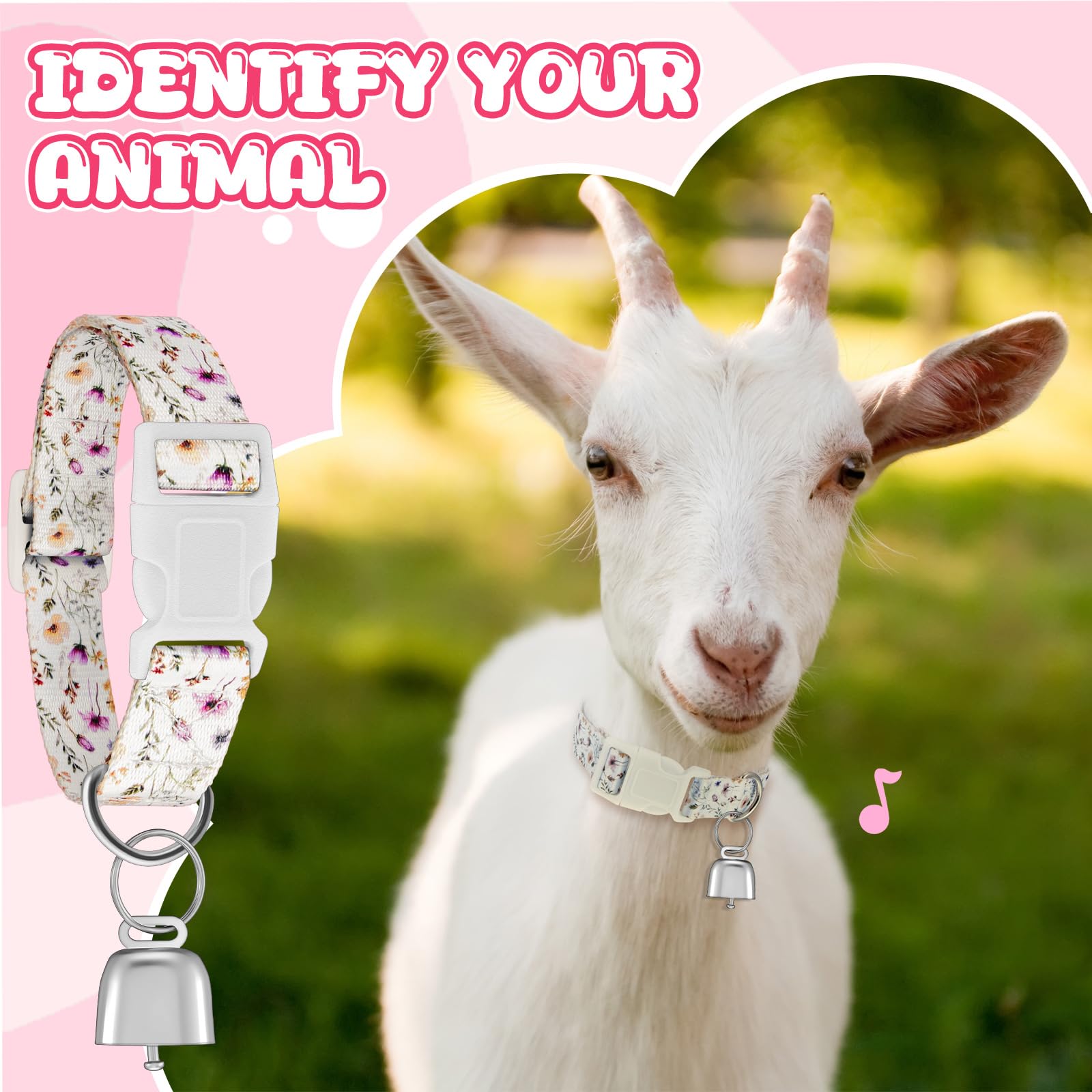 Yeyeplum adjustable goat collar demonstrates easy size fitting.