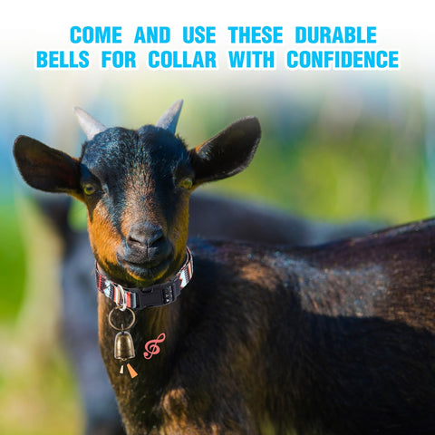 Yeyeplum colorful collars help distinguish animals during grazing.