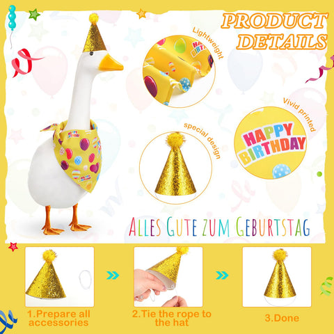 Yeyeplum Happy Birthday Goose on lawn showcases playful yard display for photos