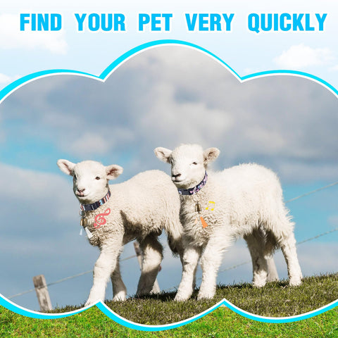 Yeyeplum two-pack collars for quick replacement and color distinction.