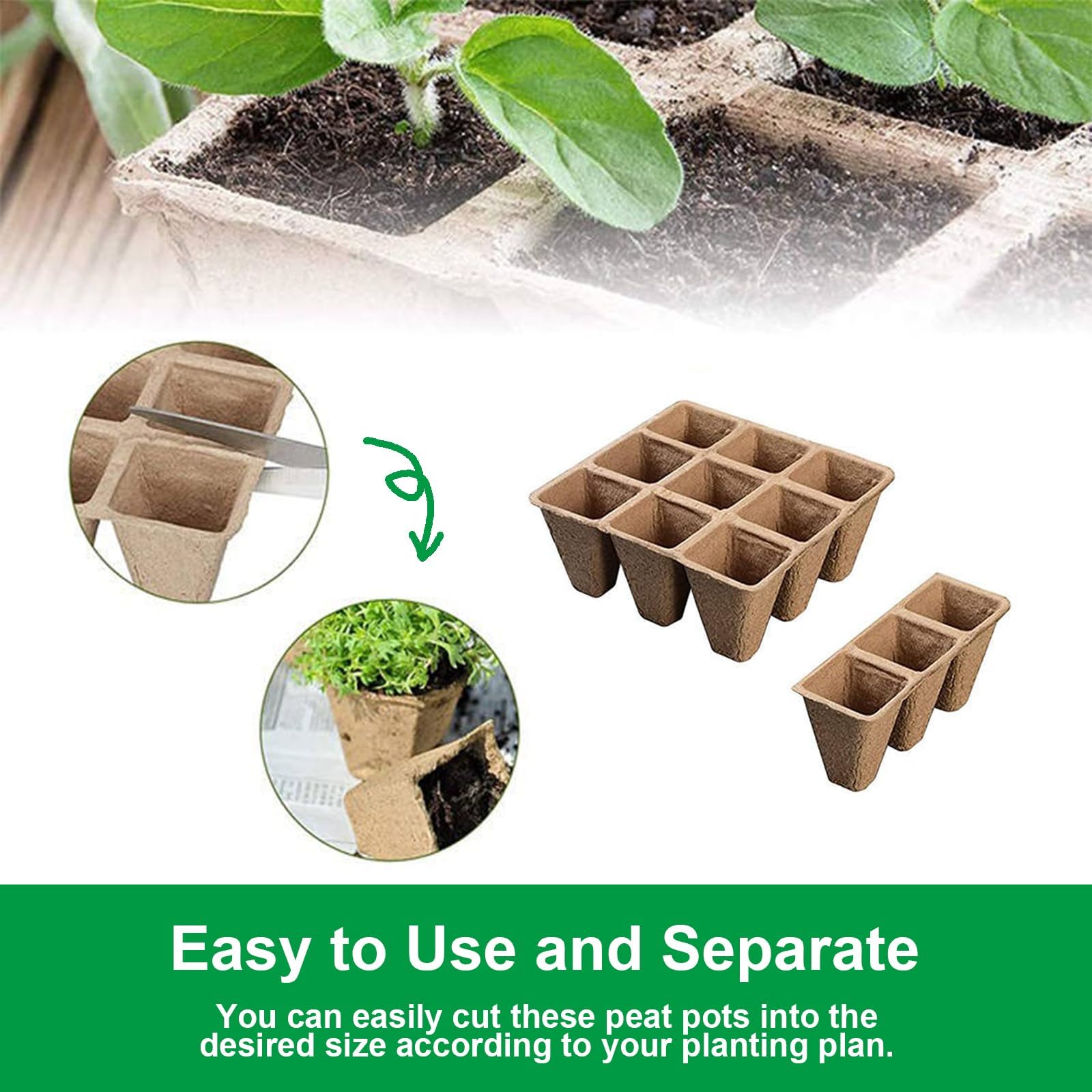 YFANITI transplant-ready tray supports seedlings during moves to pots or ground