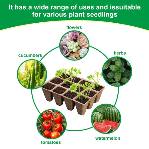 YFANITI versatile seedling tray suits flowers herbs and vegetables indoors or outdoors