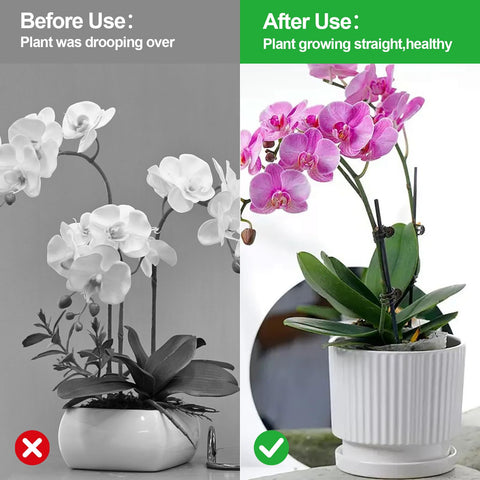 YFANITI garden clips offer durable, rust-proof plant support outdoors.