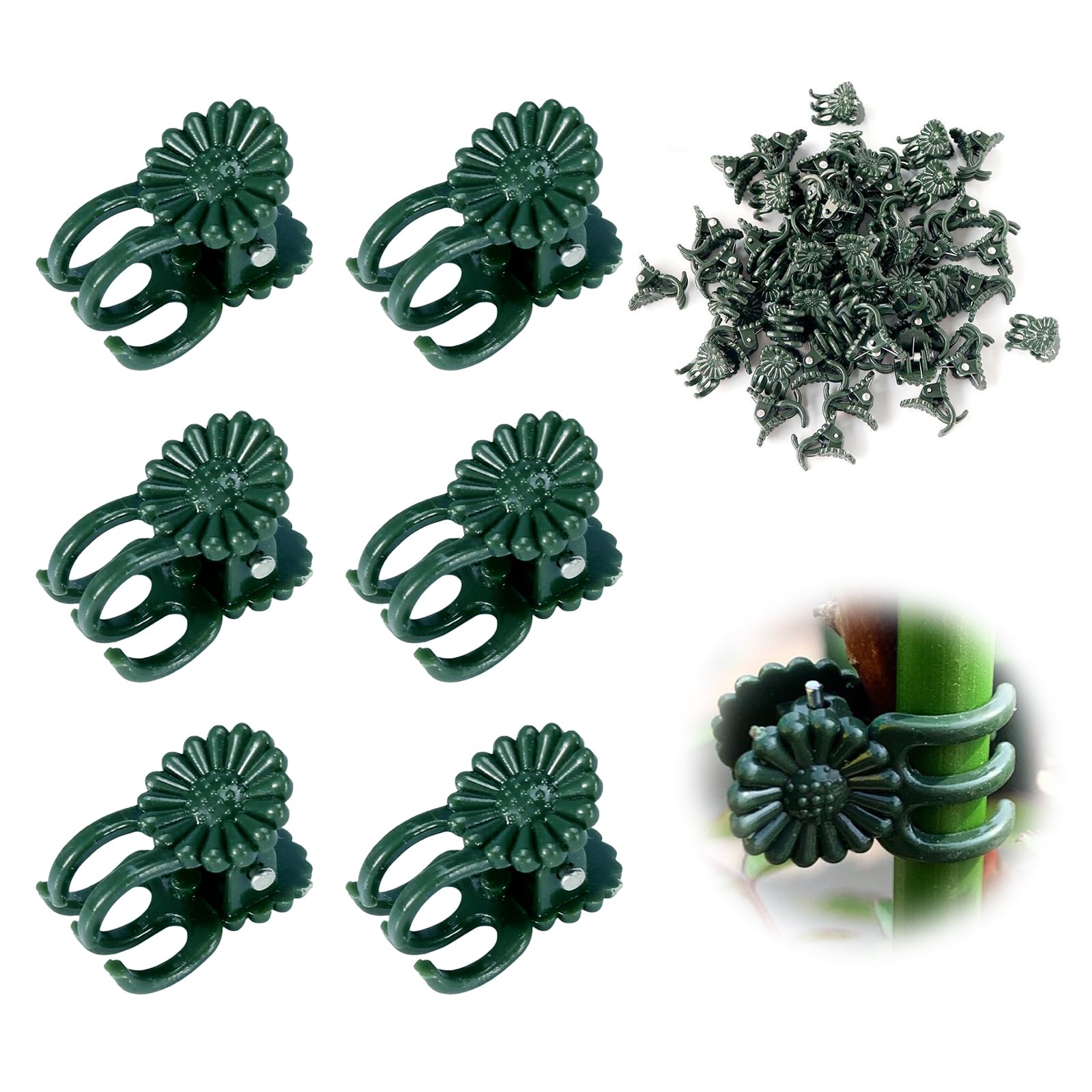 YFANITI orchid clip pack secures stems to supports for upright growth.