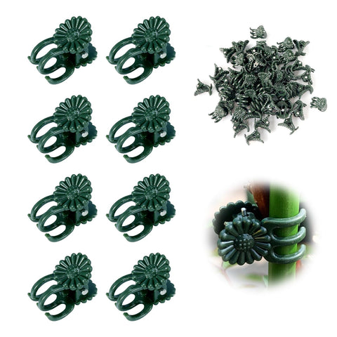 YFANITI orchid clips 100-pack secure delicate spikes for upright growth.