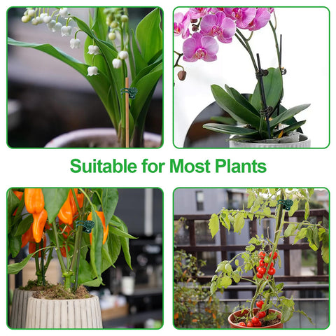 YFANITI tomato clip set helps secure plants to cages, promoting even growth.