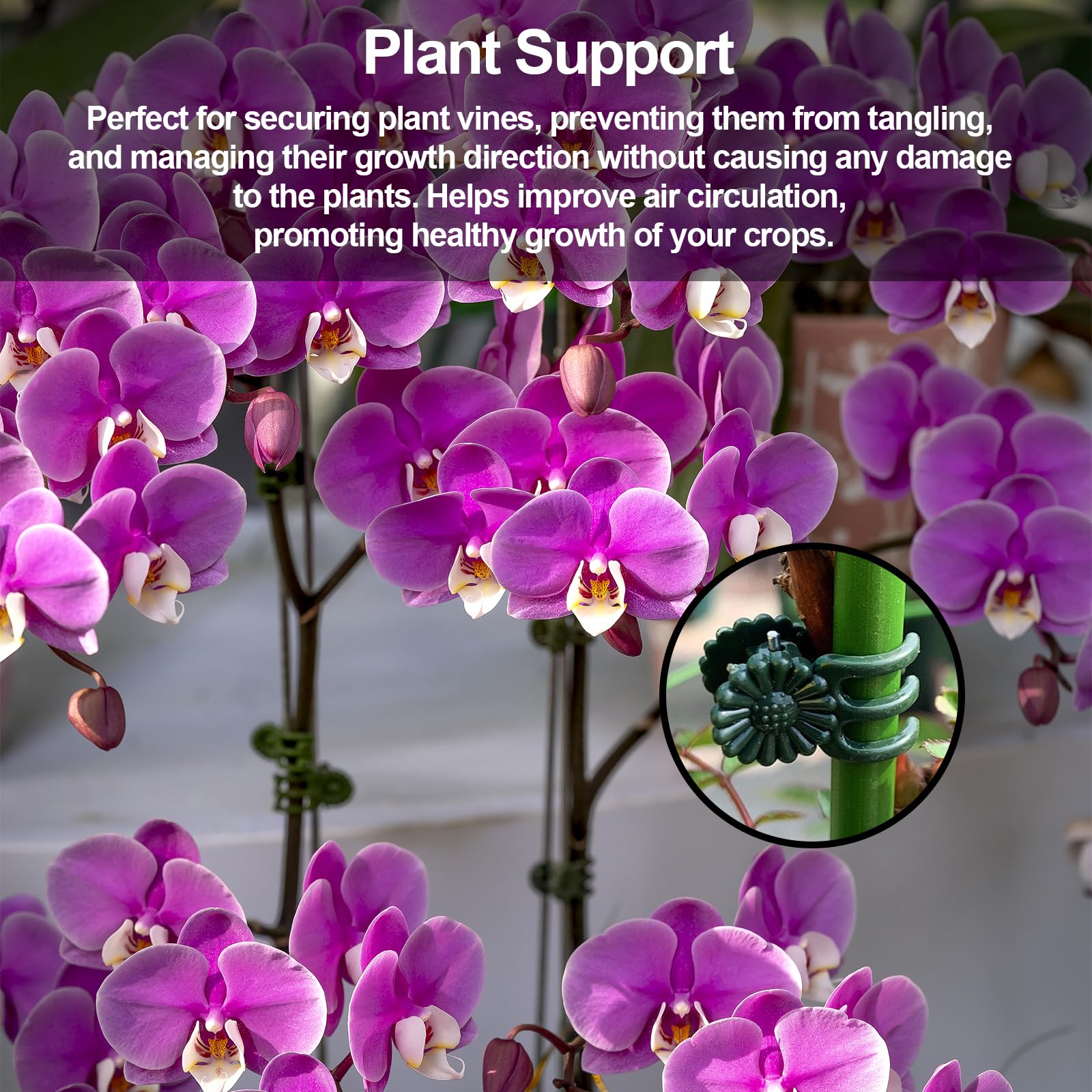YFANITI trellis clips help climbing plants stay on supports without hindering growth.