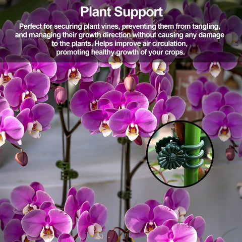 YFANITI trellis clips help climbing plants stay on supports without hindering growth.