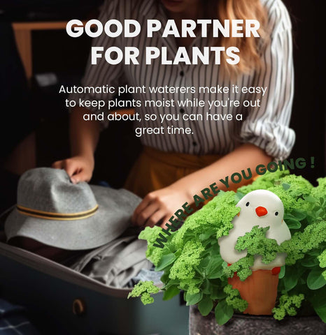 yfdb indoor-outdoor use supports lush plants with low-maintenance watering