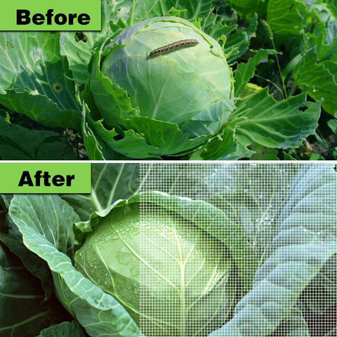YFFSIDMY bird screen netting guards fruit trees and berries without blocking airflow.