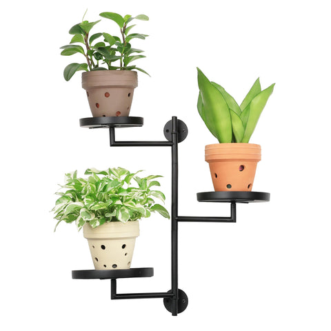 YFFSRJDJ rotating window plant shelf top view showing space-saving design for sun-loving plants.