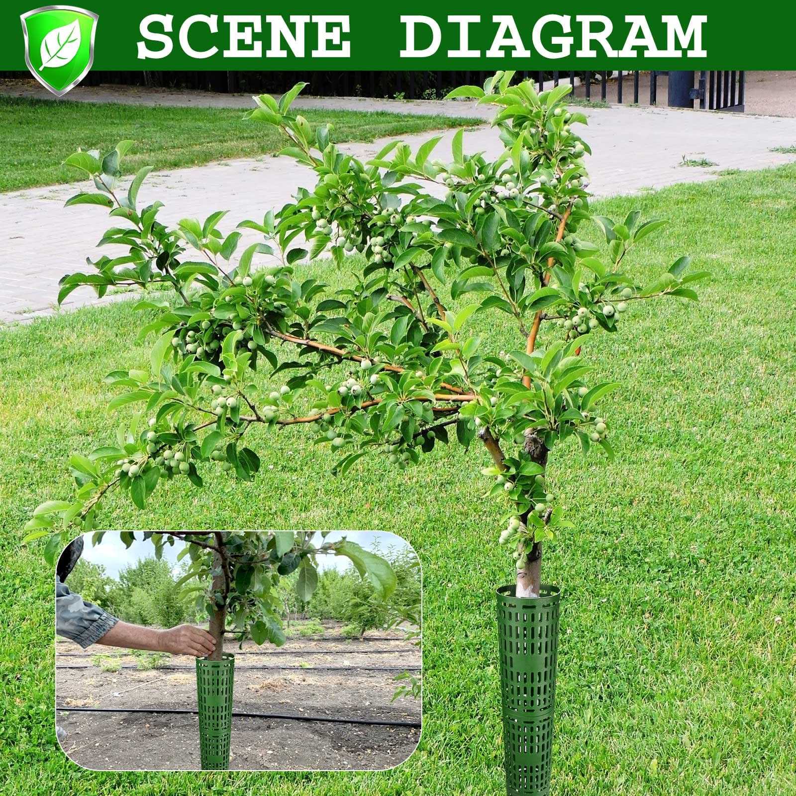 YGAOHF expandable design protects trunks across multiple sizes for growing trees.