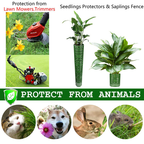 YGAOHF wrap also protects lamp posts and landscape installations.