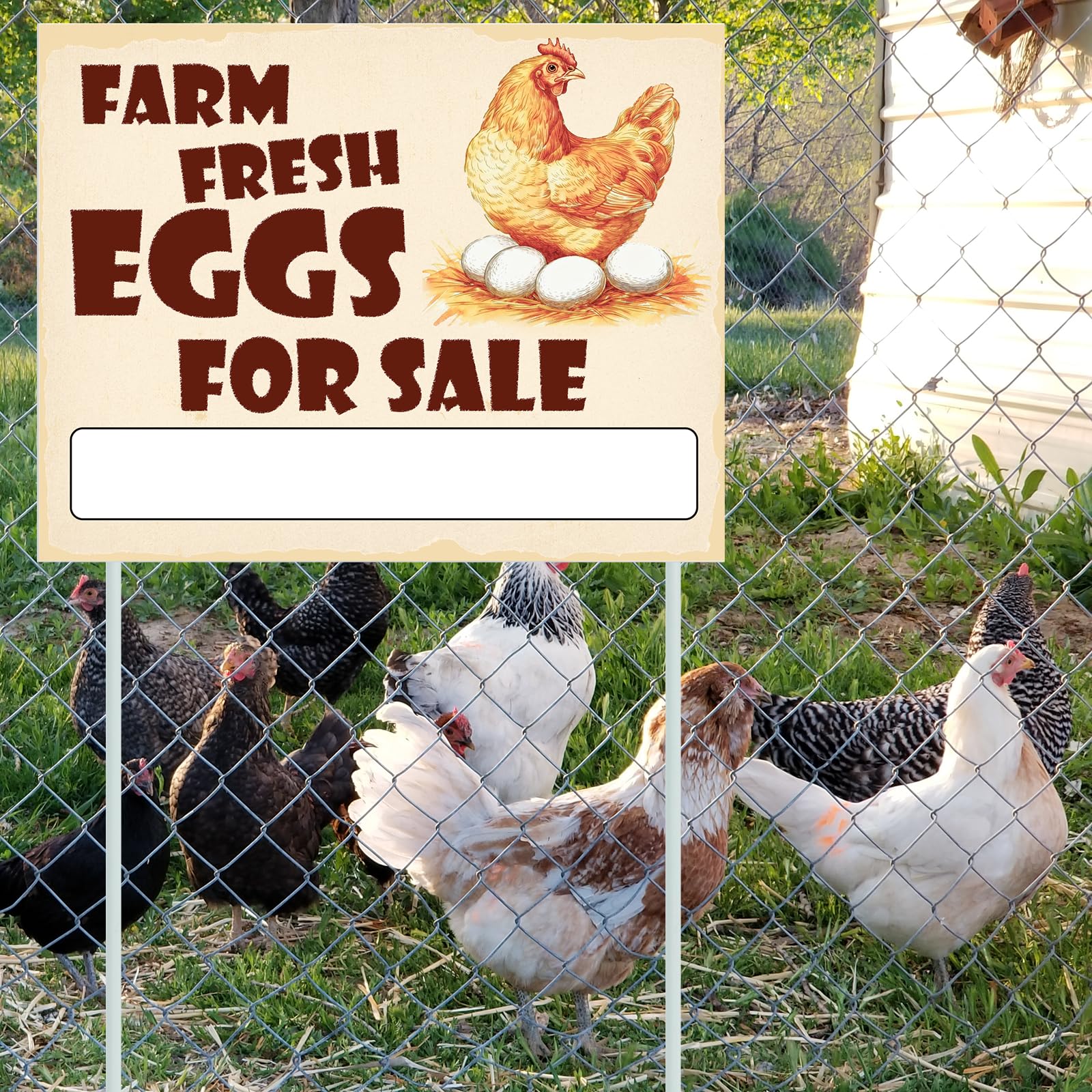 ygzQibhg farm market egg sign enhances rustic display at rural stalls