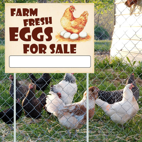 ygzQibhg farm market egg sign enhances rustic display at rural stalls