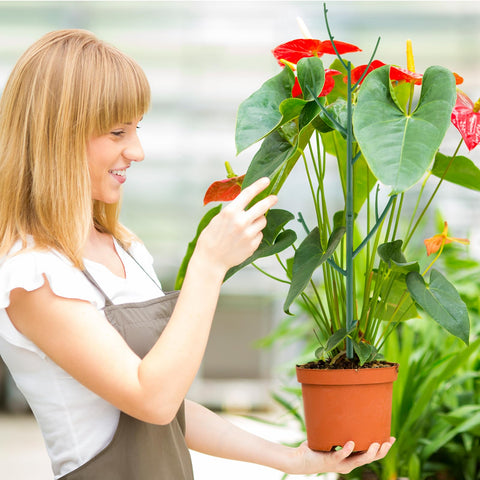 Yhtpouqe garden accessory gift for plant lovers seeking reliable support.