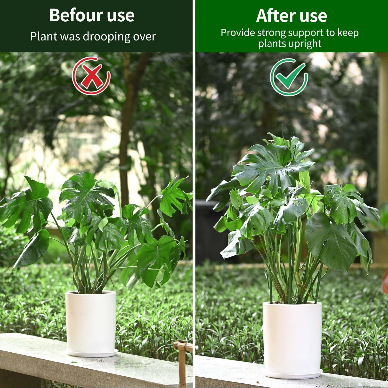 Easy assembly for indoor or outdoor plants, no tools required.