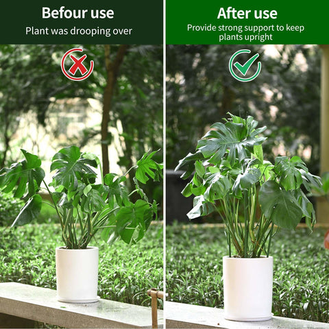 Easy assembly for indoor or outdoor plants, no tools required.
