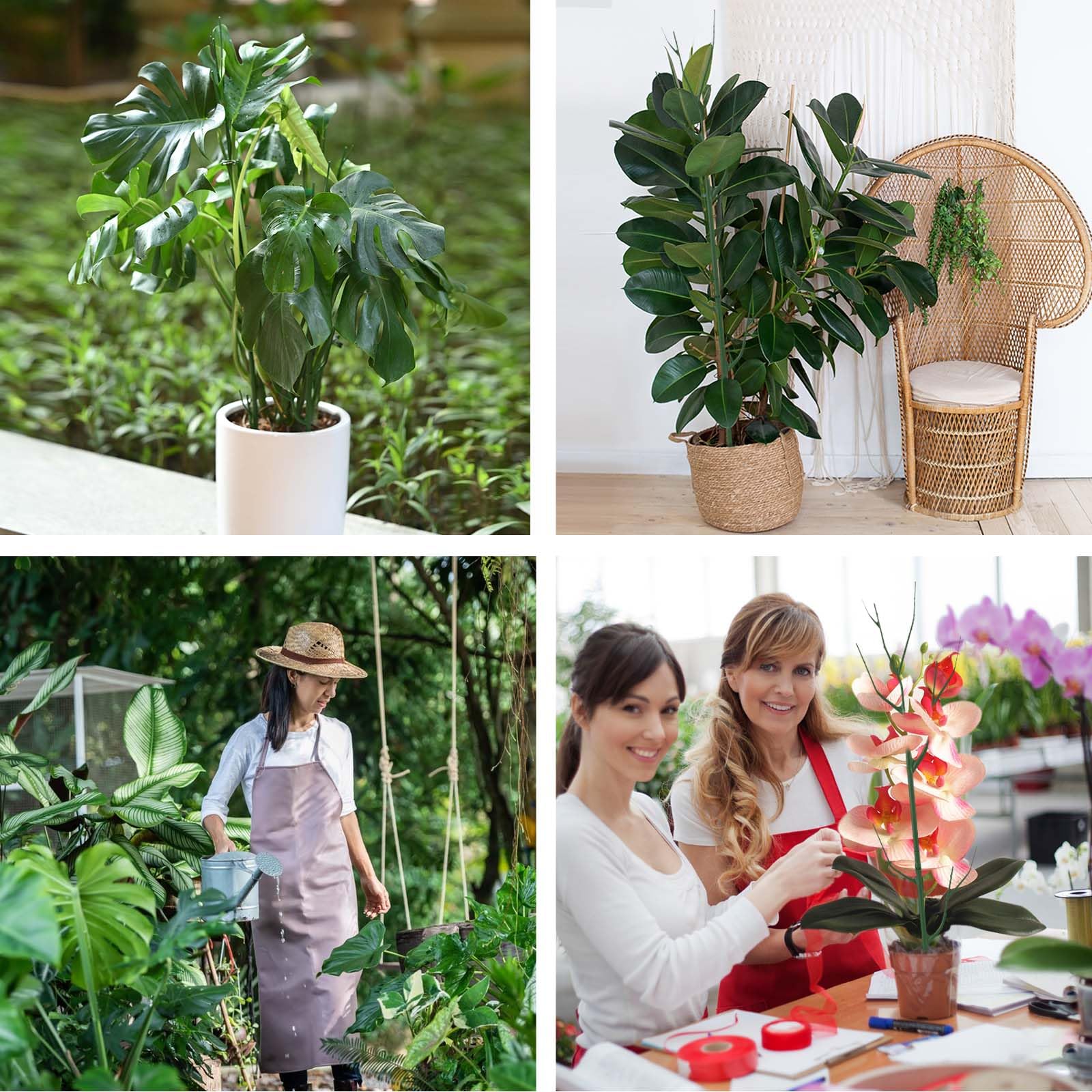 Indoor and outdoor use with weather-resistant plastic.