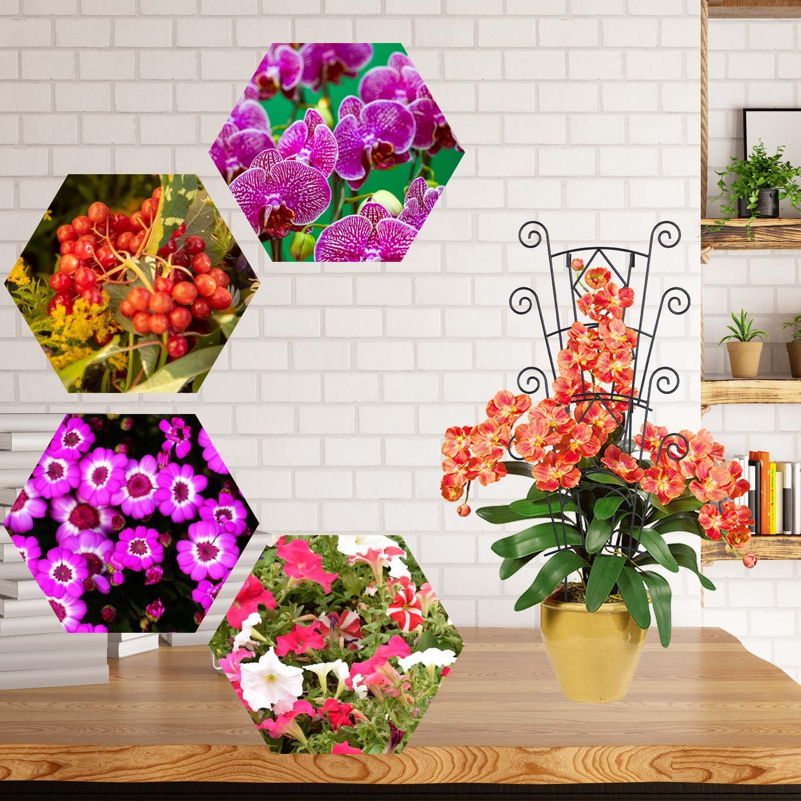 Yhtpouqe indoor-outdoor plant support helps monstera and other houseplants grow with guidance.