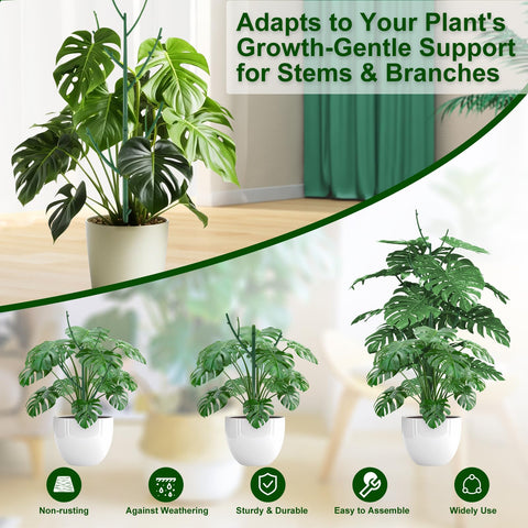 Yhtpouqe green indoor-outdoor plant support blends with foliage for discreet training.