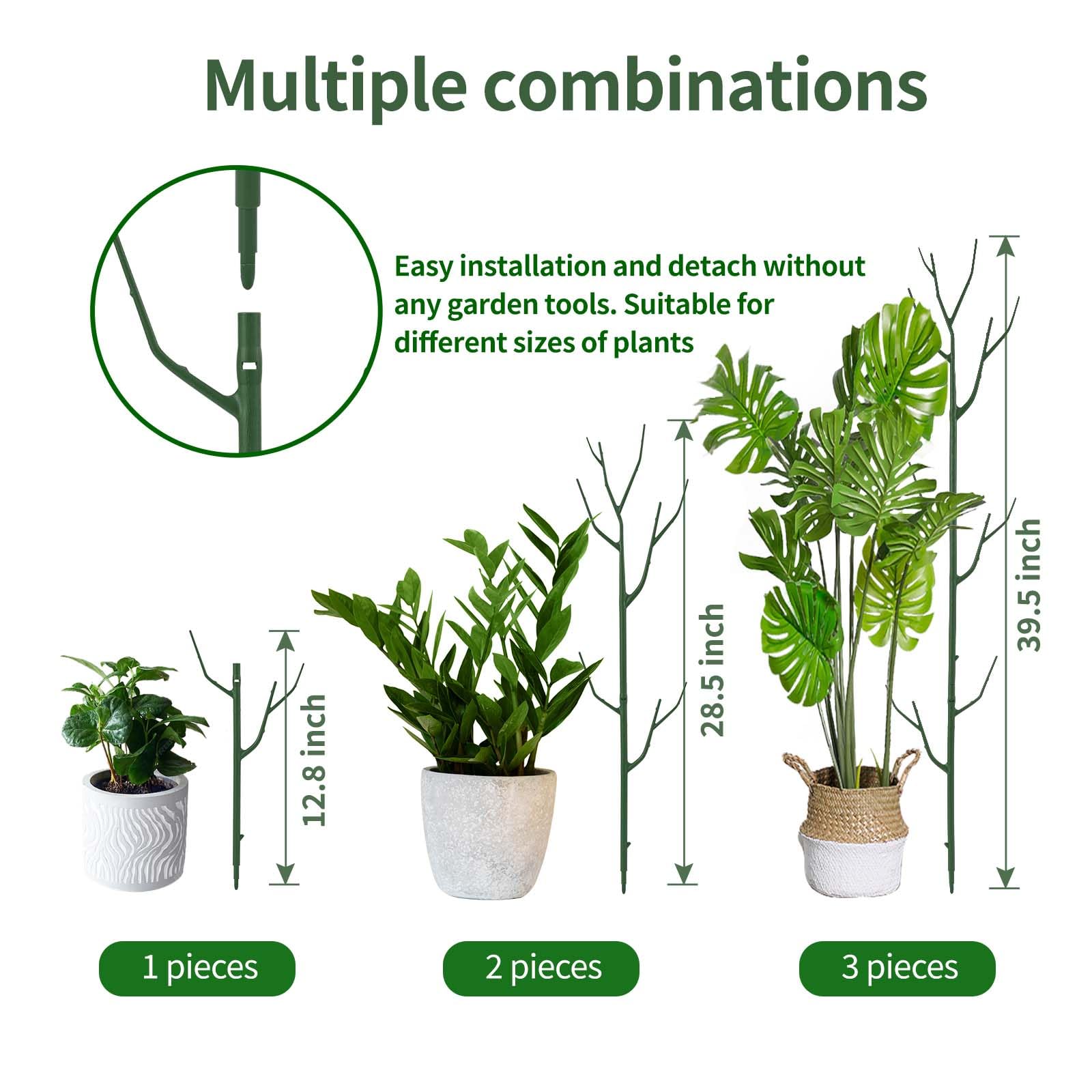 Yhtpouqe Monstera support stake blends with foliage and keeps the plant upright