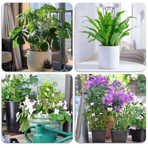 Yhtpouqe outdoor garden climbing stake suits roses and jasmine with reliable hold.