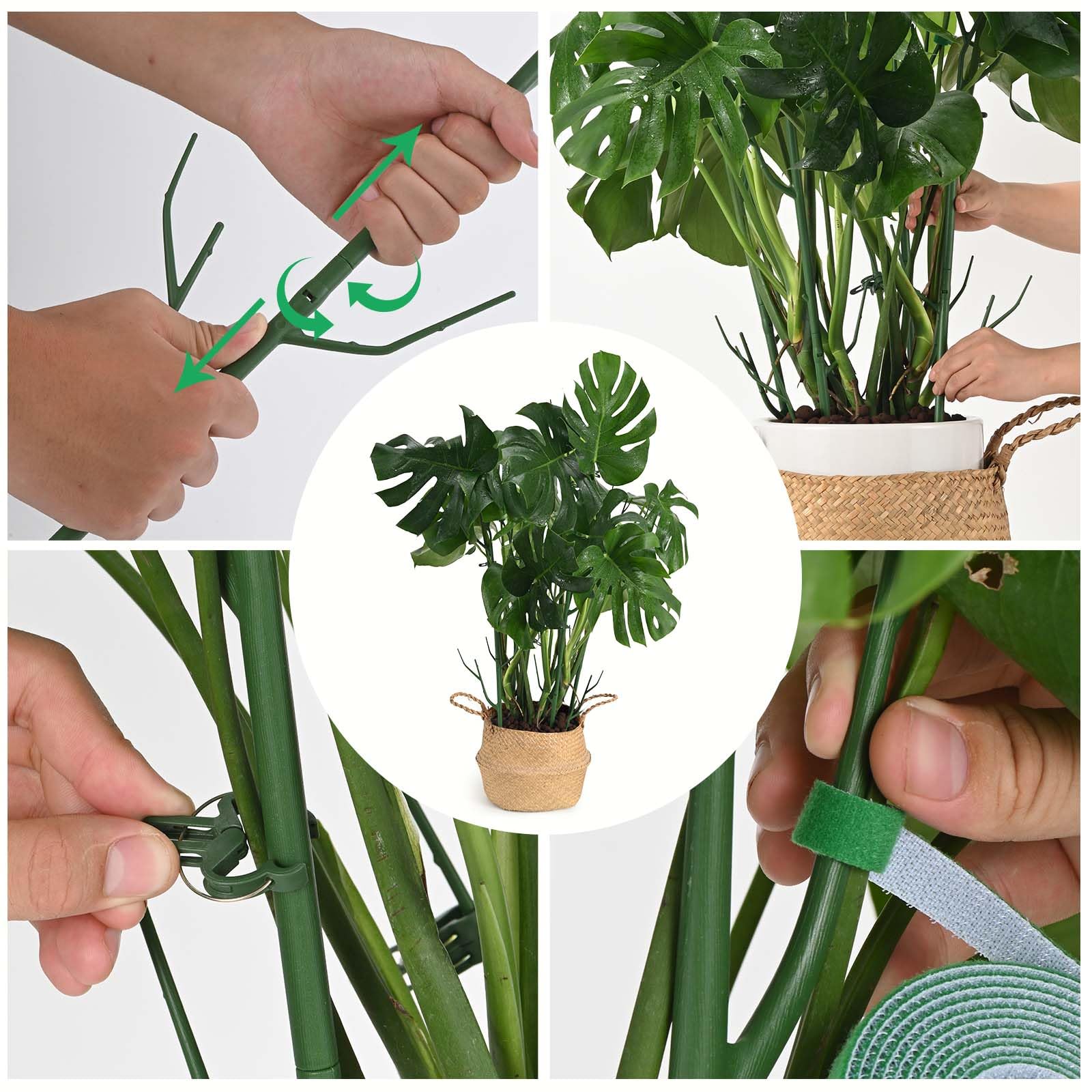 Yhtpouqe plant stake with clips included for quick plant security