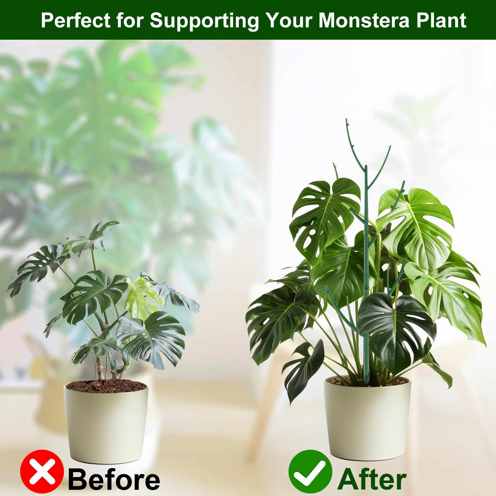 Yhtpouqe pothos-ivy stem support keeps trailing vines upright and tidy.
