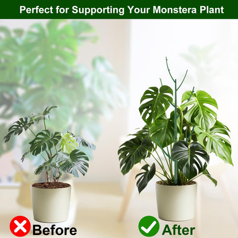 Yhtpouqe pothos-ivy stem support keeps trailing vines upright and tidy.