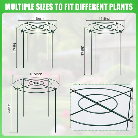 YIBOBO full-circle cage surrounds plant for balanced growth.