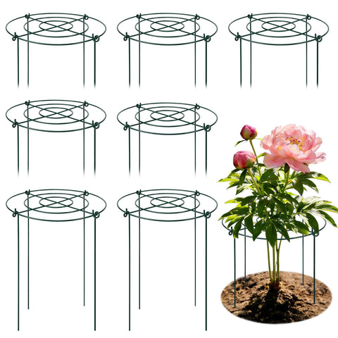 YIBOBO peony cage eight-pack provides strong, upright stems.
