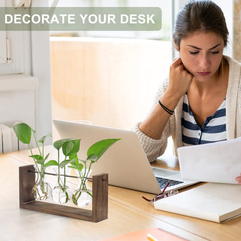 YIBOT hanging vase for propagation on desk or wall display