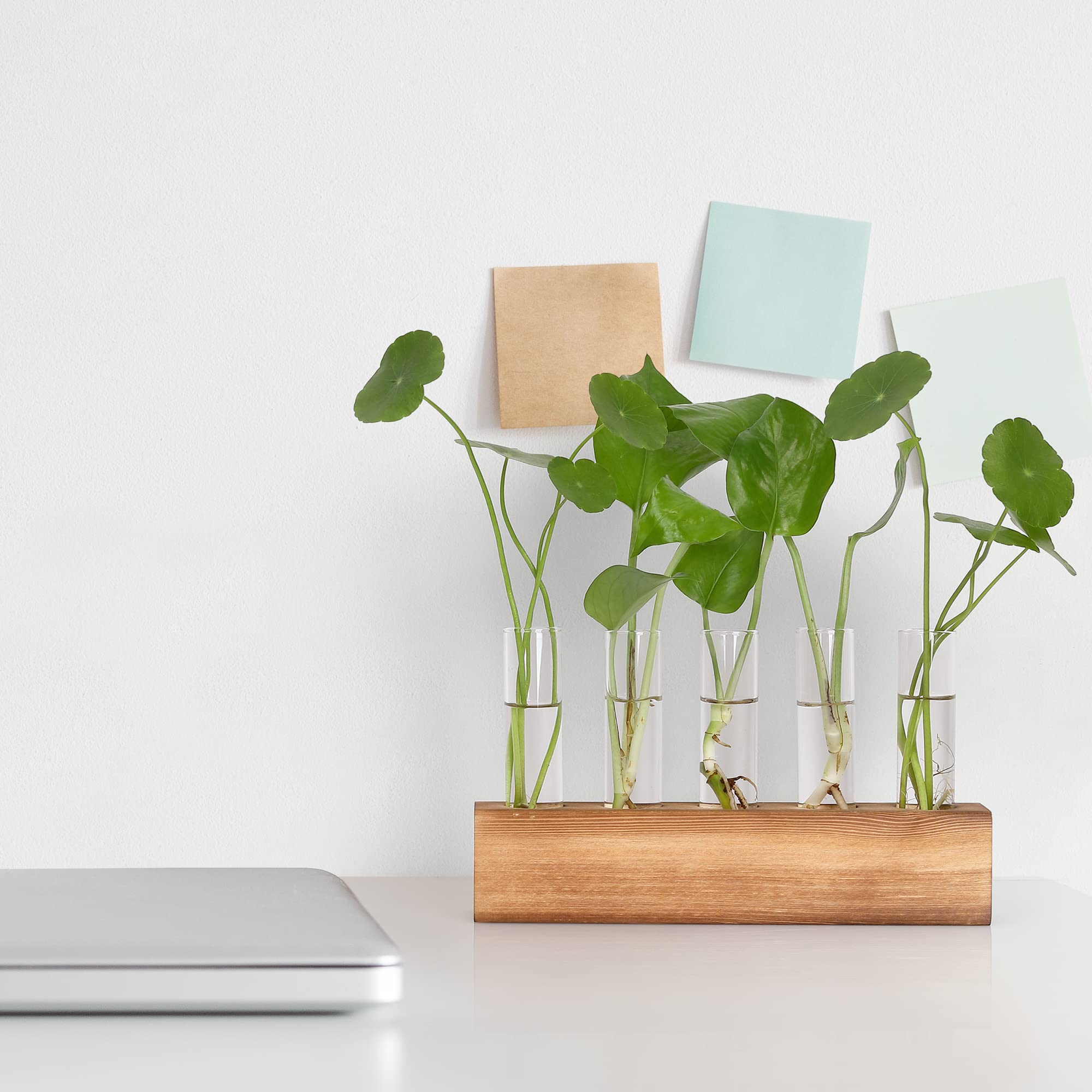 Compact YIBOT station makes a thoughtful gift for plant lovers