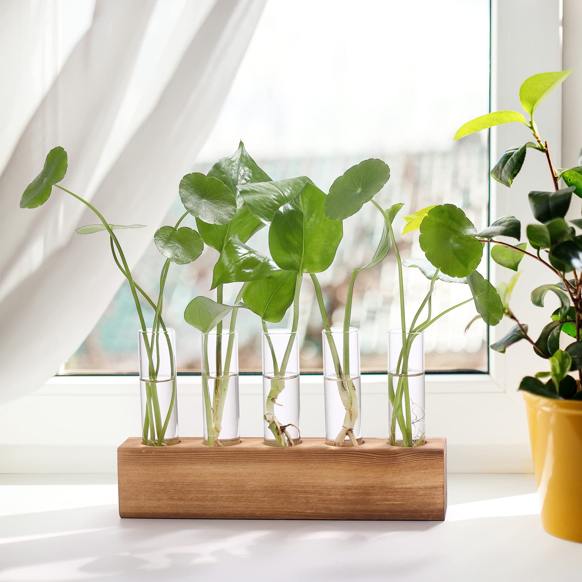 Elegant wooden stand elevates your plant setup and home office decor