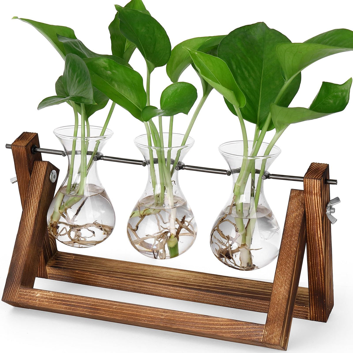 YIBOT propagation station with glass vase trio for clear root observation