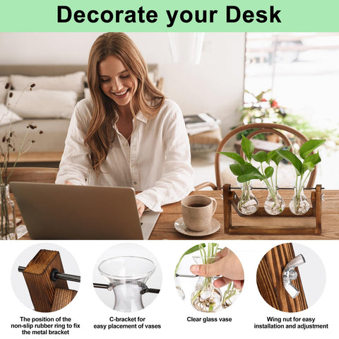 YIBOT office decoration featuring plant propagation vases