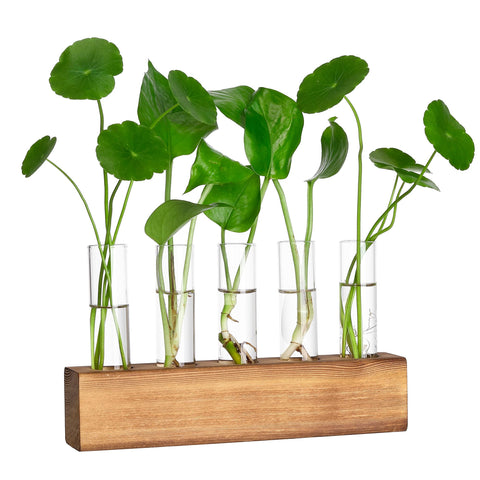 YIBOT propagation station with wooden stand, glass tubes displayed on a desk for greenery