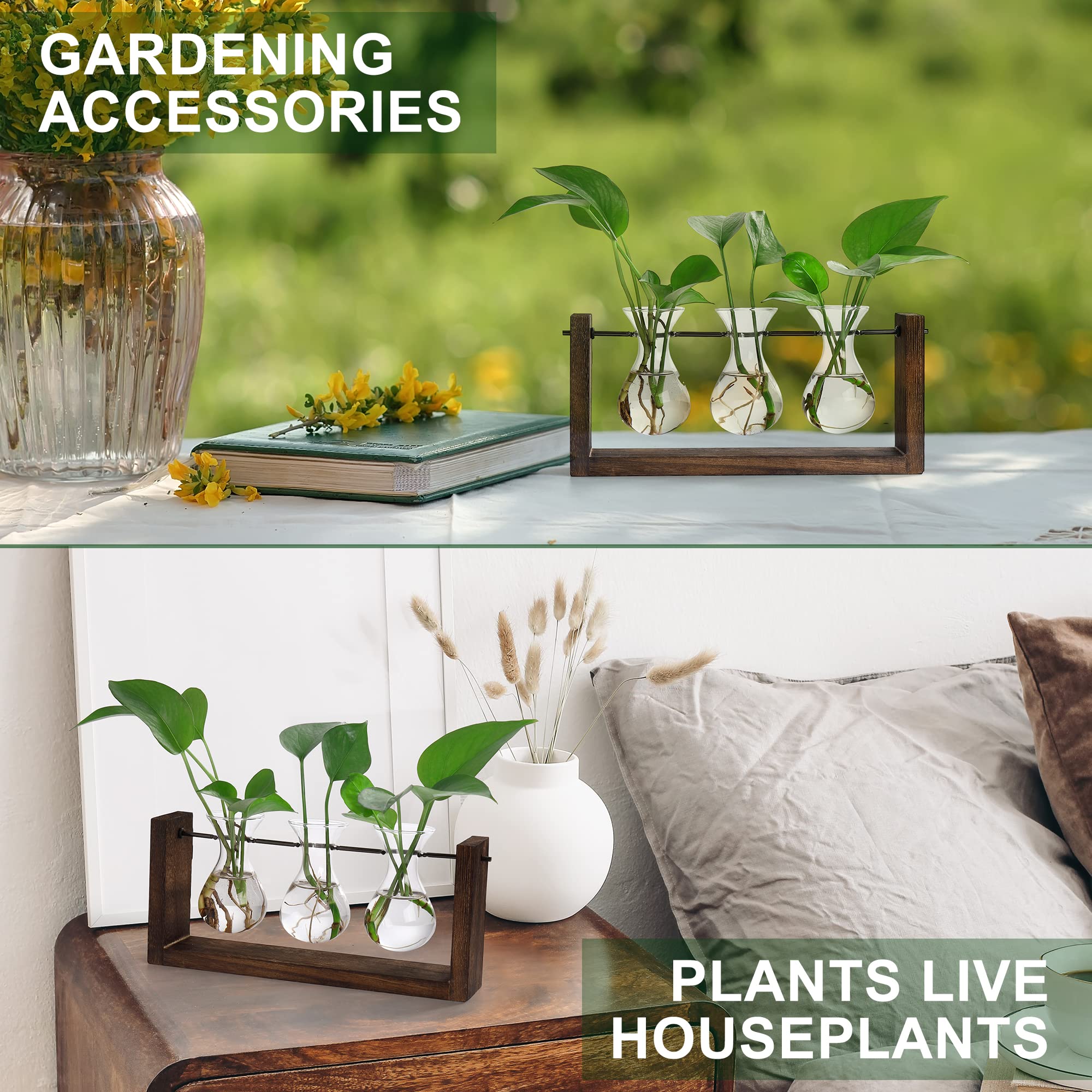 YIBOT terrarium glass container adds modern decor to any room