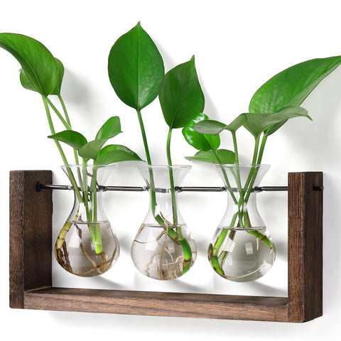 YIBOT wall-hanging planter with glass vase and wooden stand, ideal for hydroponic displays