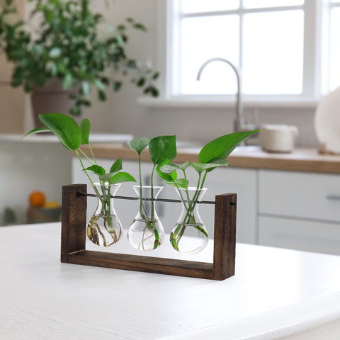 YIBOT wooden stand with glass vase for propagation station display