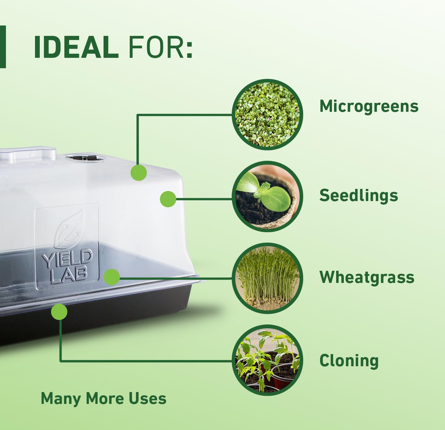 Transparent Yield Lab dome lets you monitor seedlings without lifting the lid.