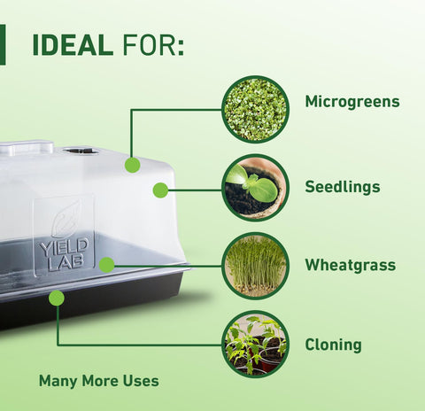 Transparent Yield Lab dome lets you monitor seedlings without lifting the lid.