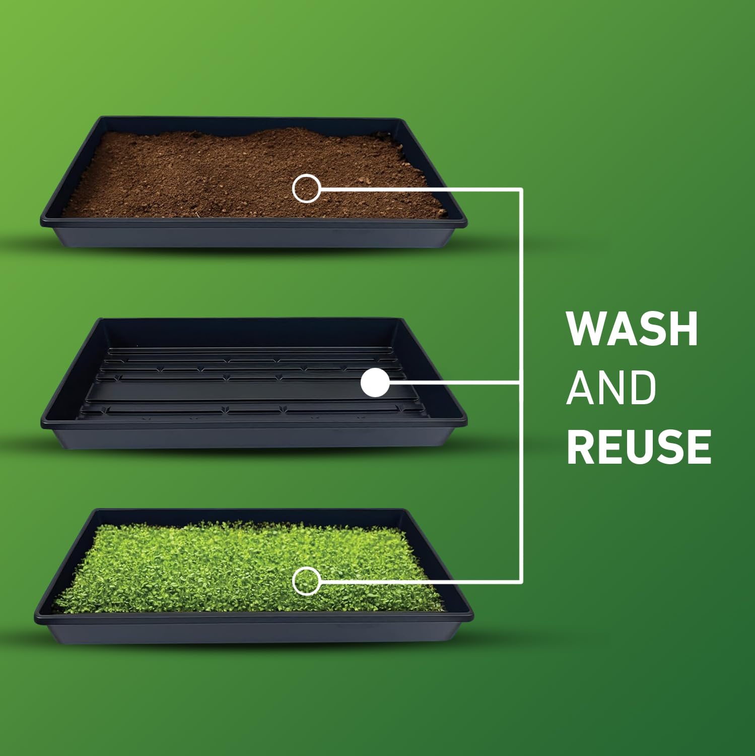 Yield Lab propagation tray 10x20 black with seedlings in tray demonstrates efficient root space.