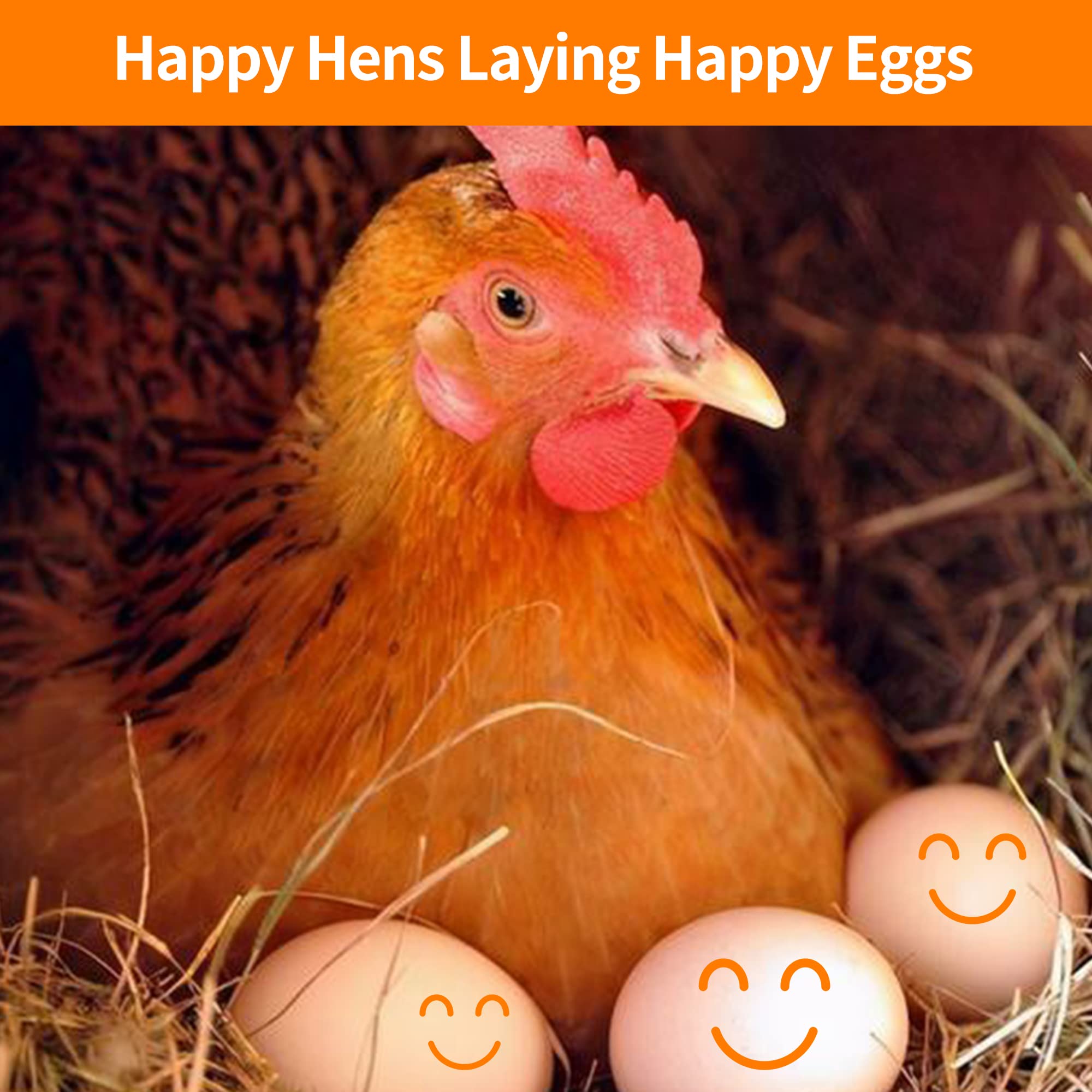 YIFULOWA coop aroma enhances hen comfort and reduces nesting stress in busy areas.