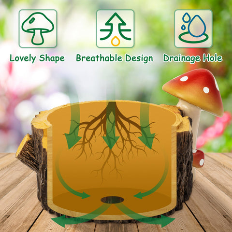 Yiiwinwy Pot with drainage hole and mesh pads promotes airflow.