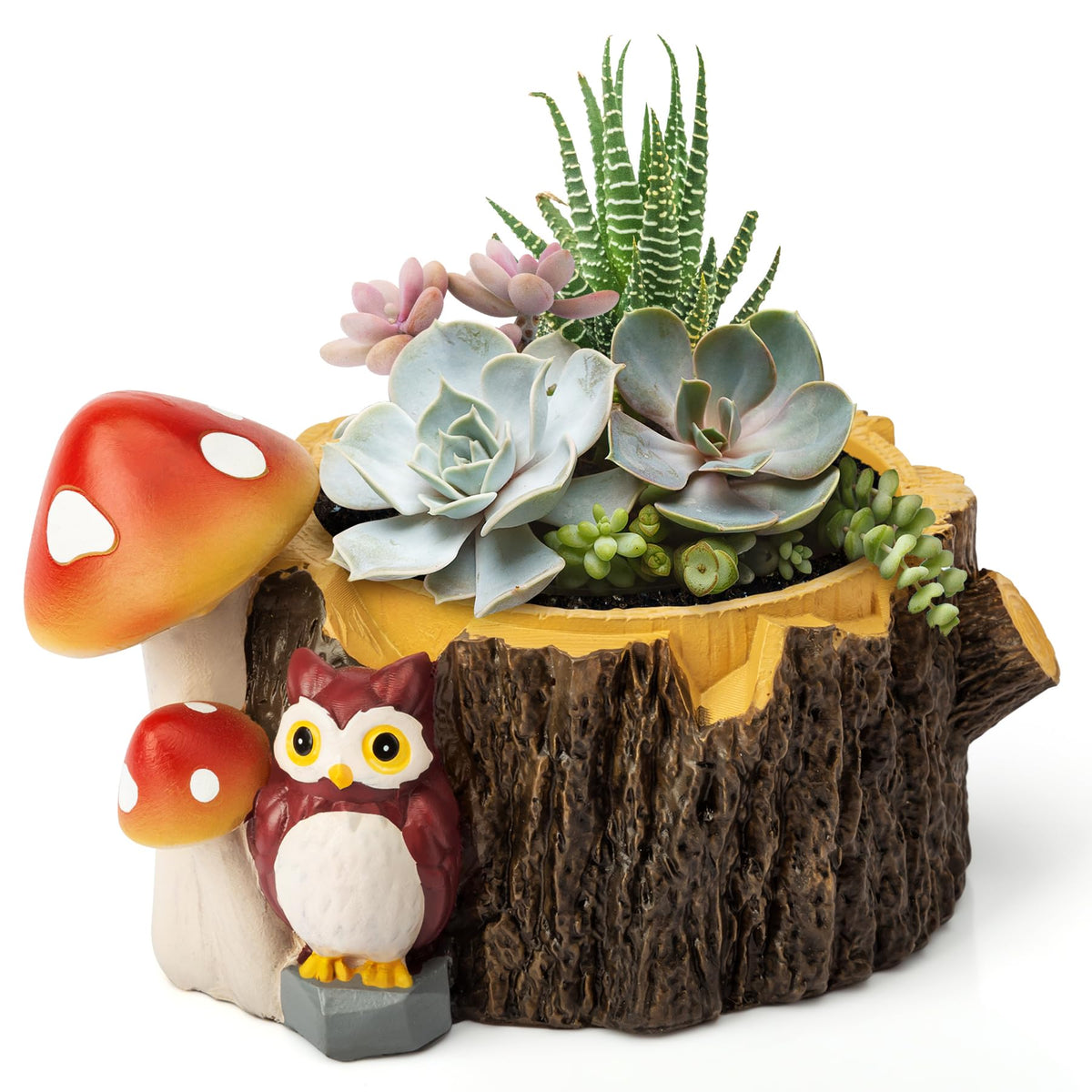 Yiiwinwy Owl succulent pot with owl figure, ideal for desk or shelf decor.